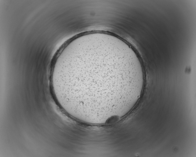 X0000112171124200909041144