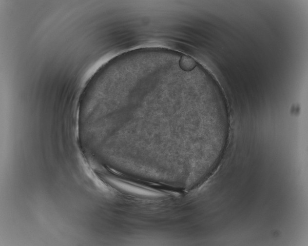 X0000112171127200909041144