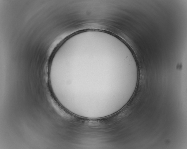 X0000112171128200909041144