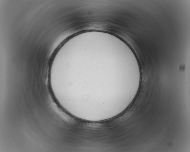 X0000112171131200909041144