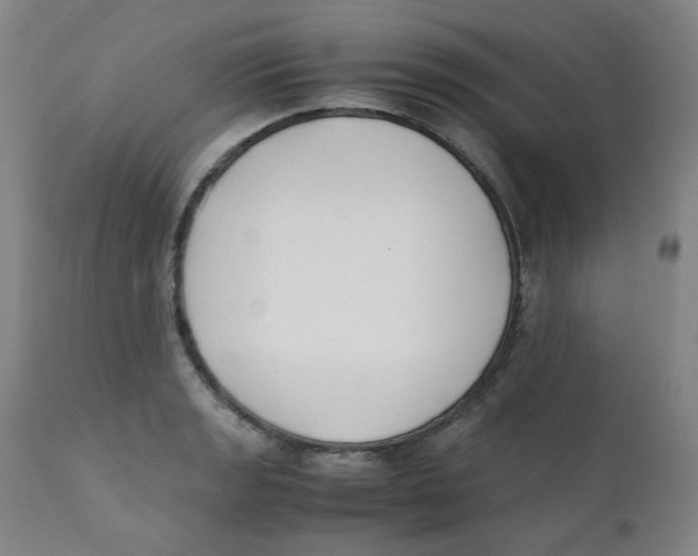 X0000112171133200909041144