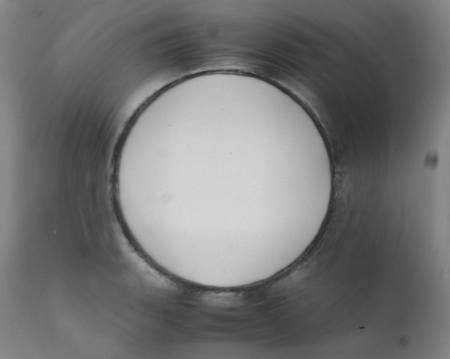 X0000112171135200909041144