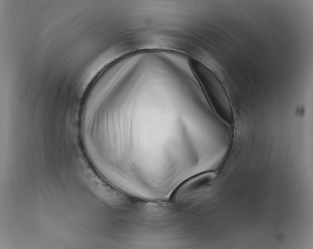 X0000112171138200909041144