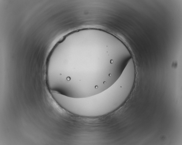 X0000112171140200909041144