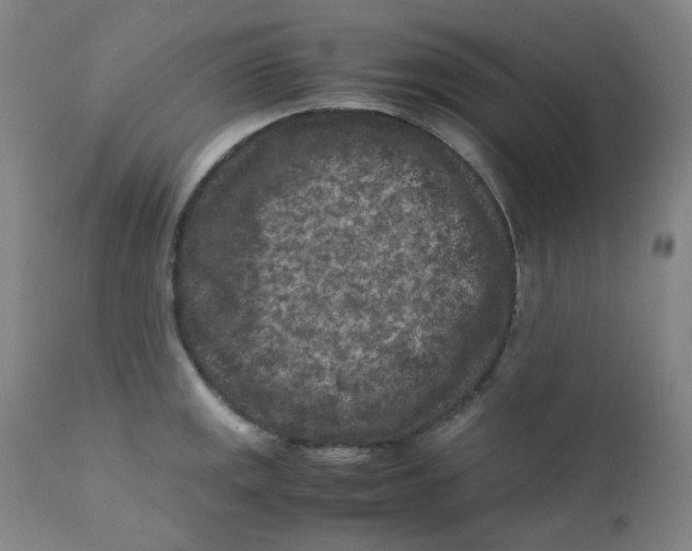 X0000112171141200909041144