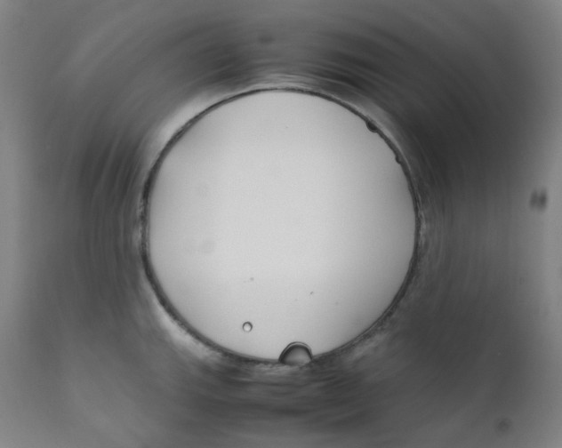 X0000112171143200909041144