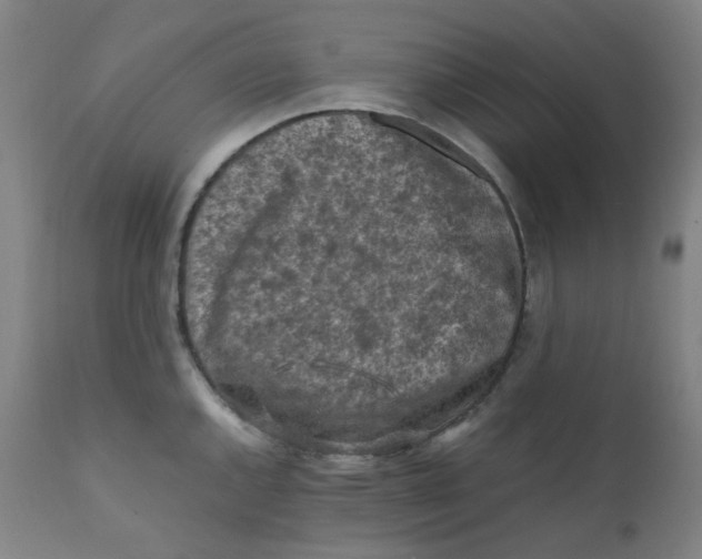 X0000112171144200909041144