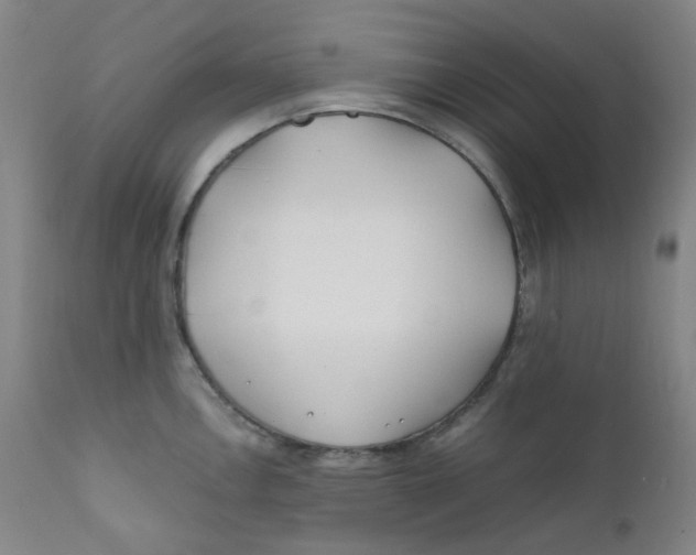 X0000112171146200909041145