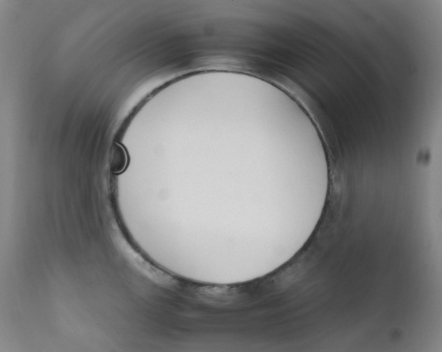 X0000112171147200909041145