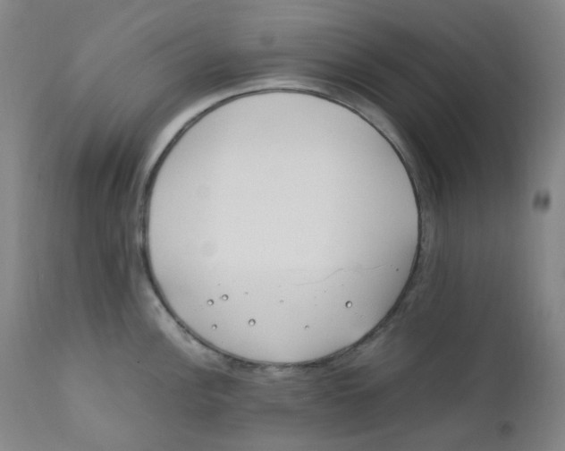 X0000112171148200909041145