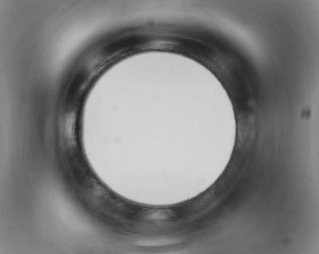 X0000112171150200909041145