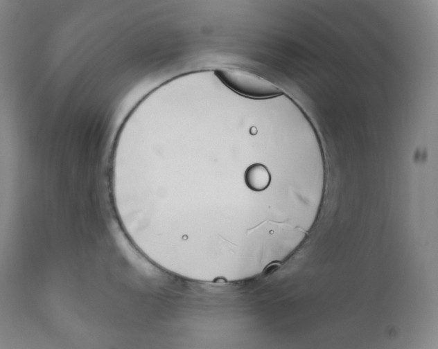 X0000112171152200909041145