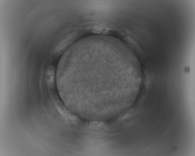 X0000112171154200909041144