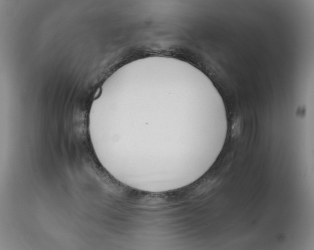 X0000112171156200909041144