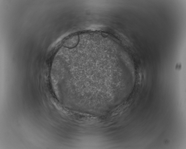 X0000112171158200909041144