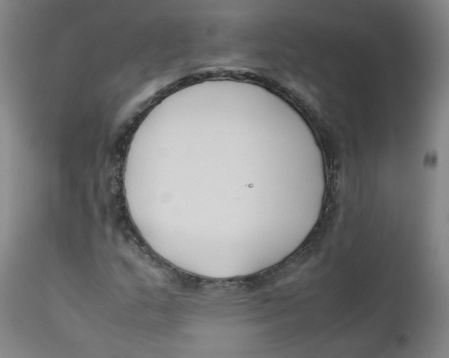 X0000112171159200909041144