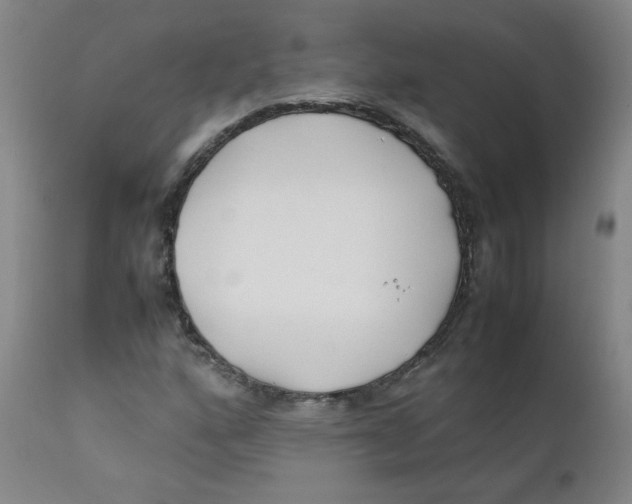 X0000112171160200909041144