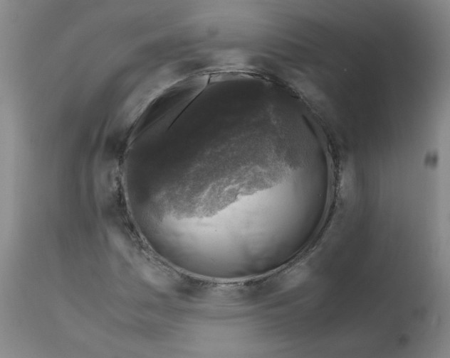 X0000112171161200909041144