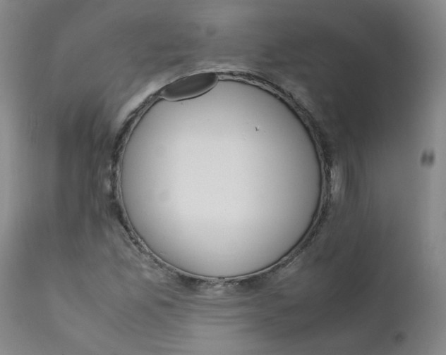 X0000112171165200909041143