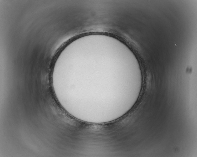 X0000112171166200909041143