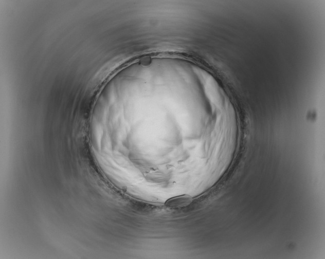 X0000112171169200909041143