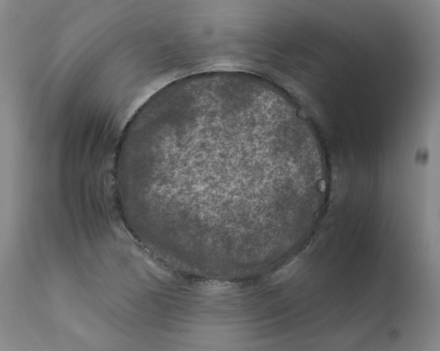 X0000112171170200909041143