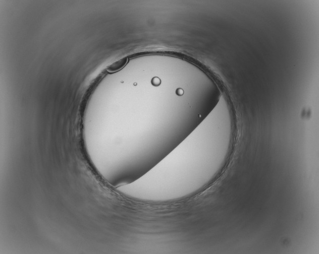 X0000112171173200909041143