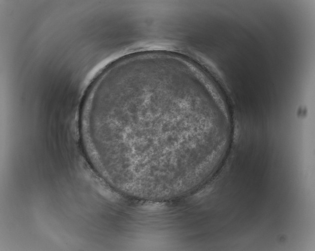 X0000112171174200909041143