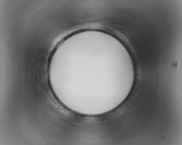 X0000112171176200909041143