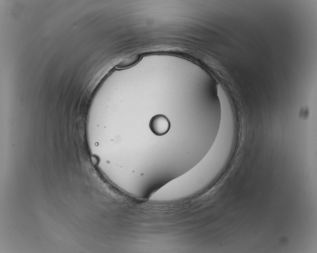 X0000112171177200909041143