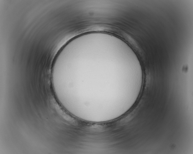 X0000112171178200909041143