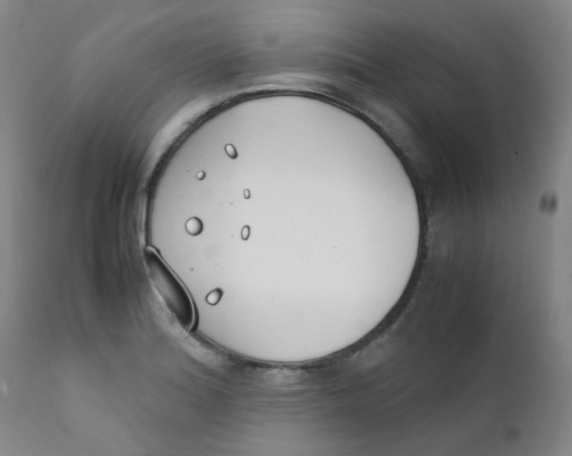 X0000112171180200909041143