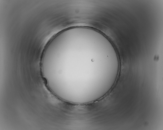 X0000112171181200909041143