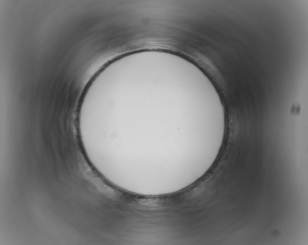 X0000112171182200909041143