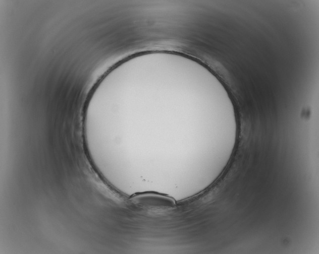 X0000112171184200909041143