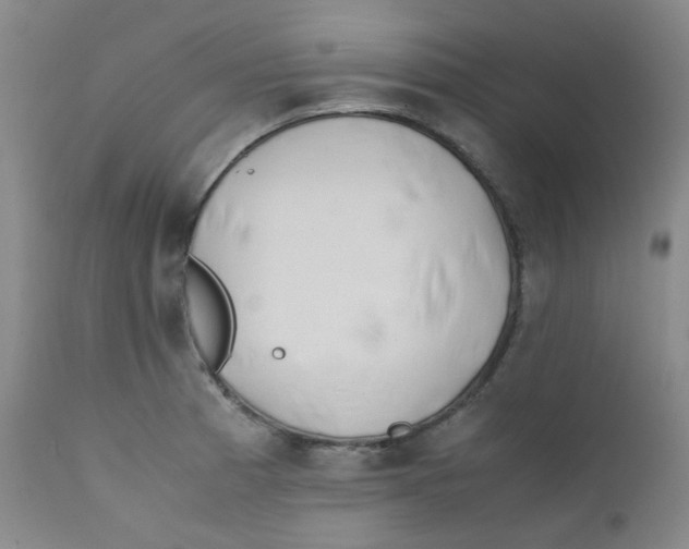 X0000112171185200909041143