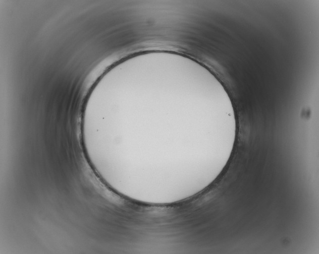 X0000112171188200909041143