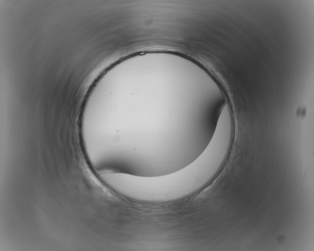 X0000112171189200909041143