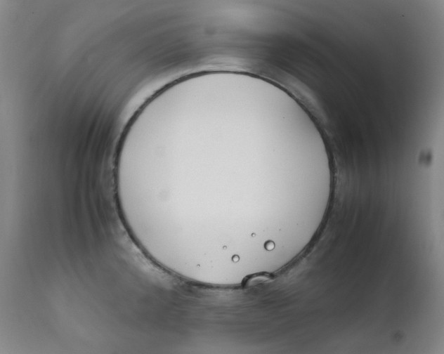 X0000112171192200909041143