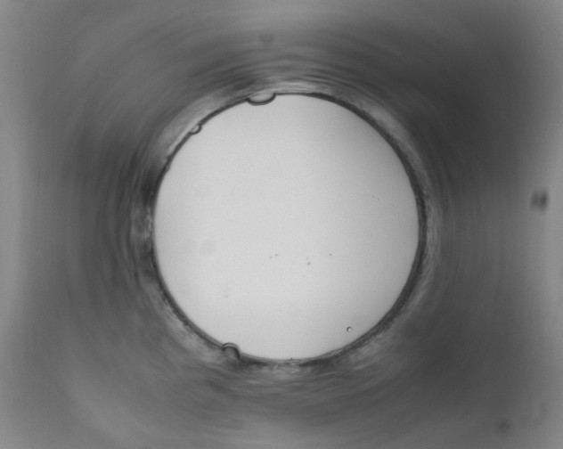 X0000112171193200909041143