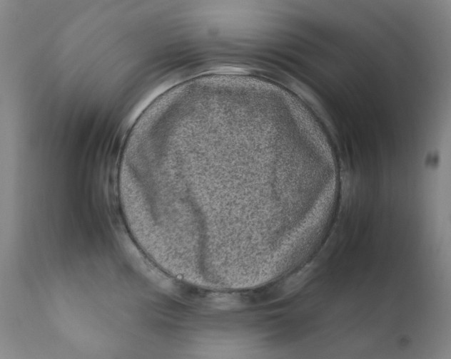 X0000112171194200909041143