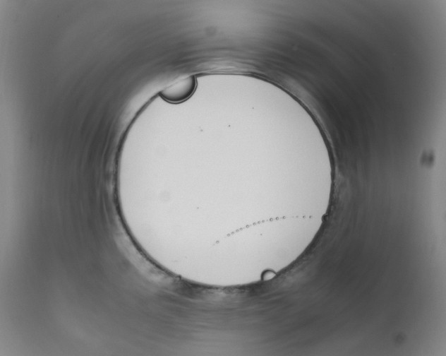 X0000112171195200909041143