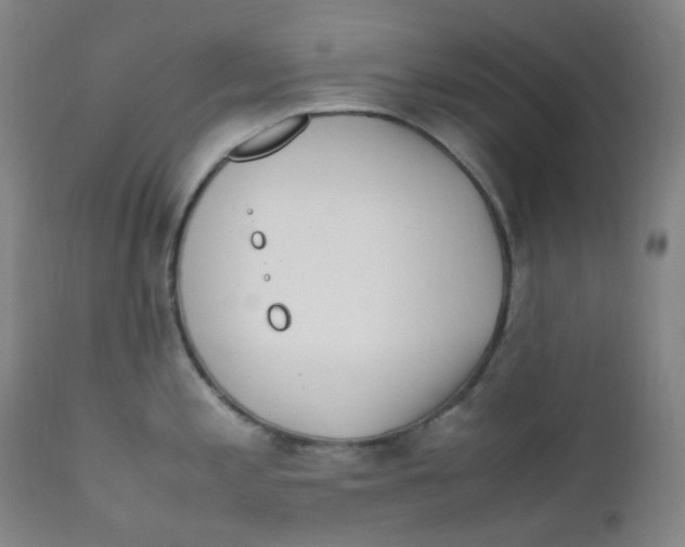 X0000112171197200909041143