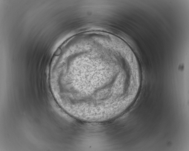 X0000112171198200909041143