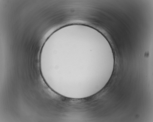 X0000112171199200909041143