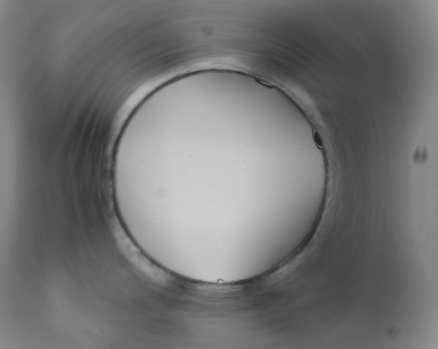 X0000112171200200909041143