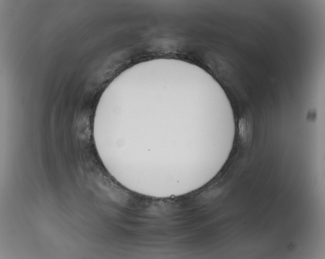 X0000112171203200909041142