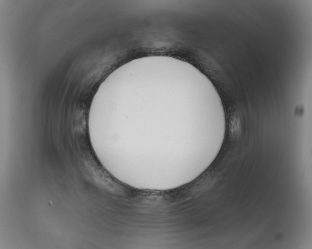 X0000112171204200909041142