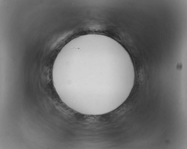 X0000112171205200909041142