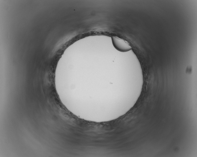 X0000112171207200909041142